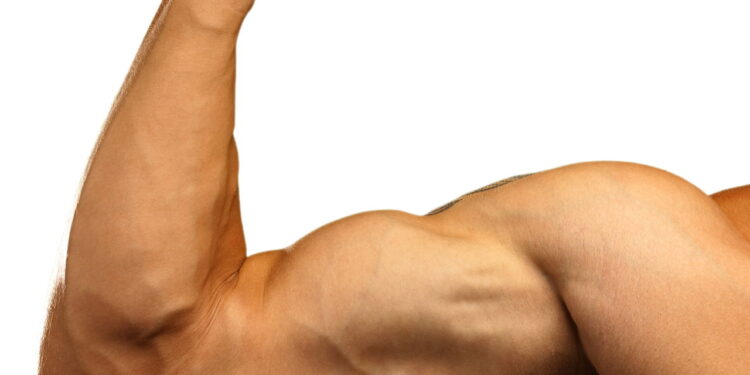 Crescer o bíceps fica mais fácil com esses 4 exercícios