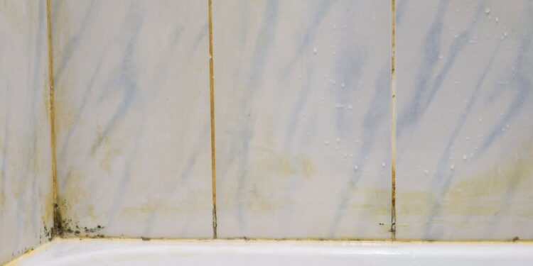 Como prevenir bolor no banheiro com dicas práticas