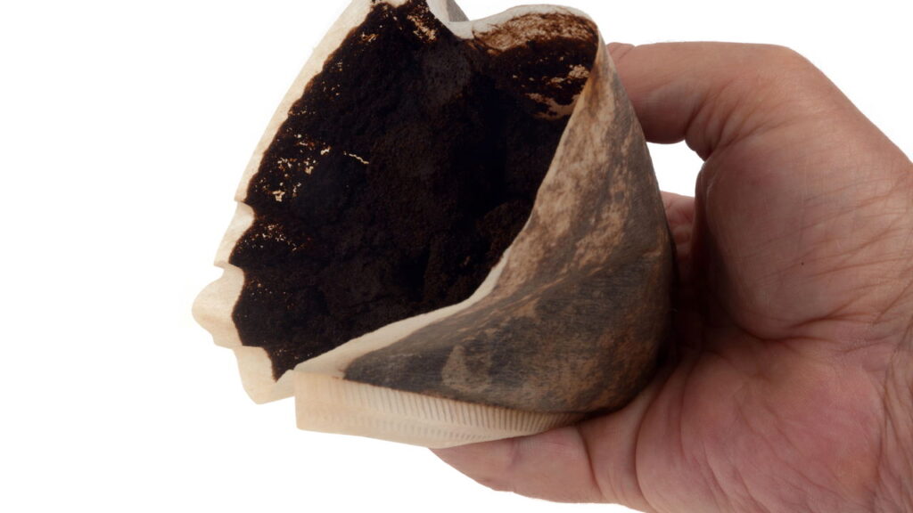 Como evitar moscas e larvas em lixeiras de resíduos orgânicos