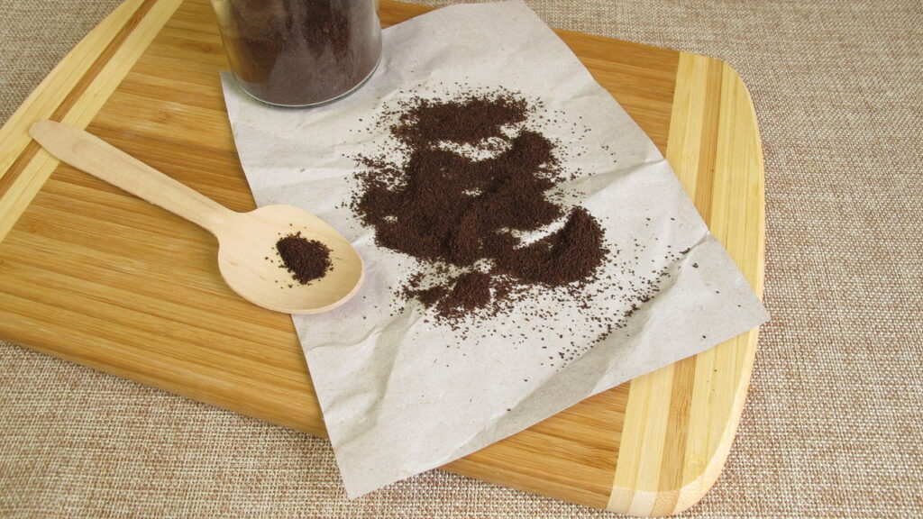 Nem caracóis, nem lemas: o truque natural que realmente funciona no jardim