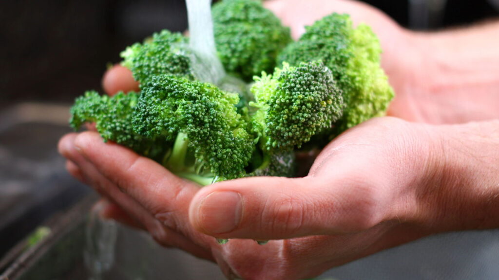 Brócolis. - Créditos: depositphotos.com / HayDmitriy