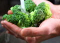 Como manter o brócolis crocante por mais tempo na geladeira