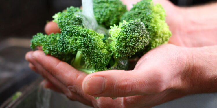 Como manter o brócolis crocante por mais tempo na geladeira