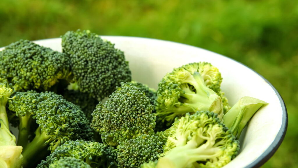 Como manter o brócolis verde e fresco na geladeira por mais dias