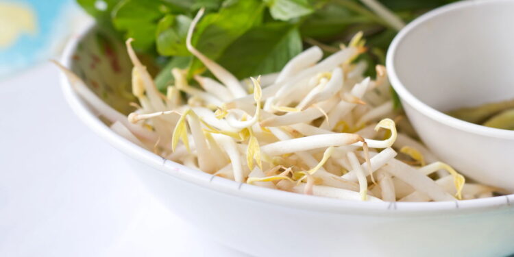 Broto de feijão ajuda a controlar o açúcar no sangue e ainda fortalece a imunidade