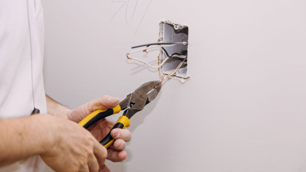 Seu equipamento eletrônico pode estar sob ataque de pragas