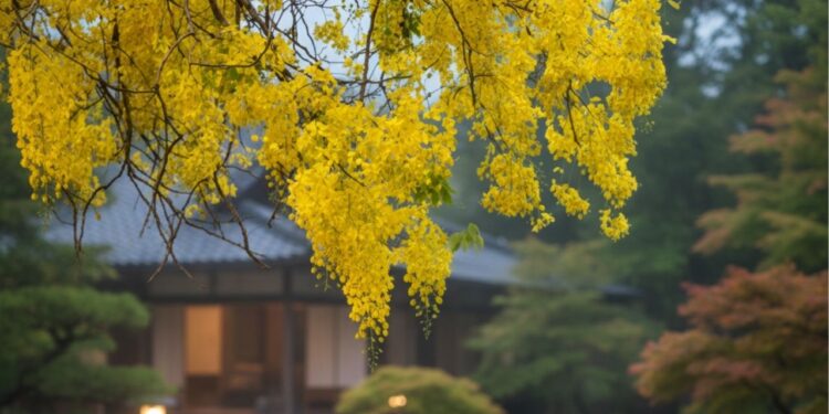 A planta que regula o intestino e surpreende com tantos benefícios
