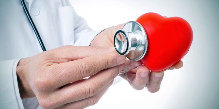 Esse alimento típico do Brasil está virando aliado da saúde cardiovascular