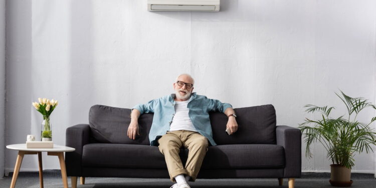 As plantas que não precisam de sol e deixam a casa mais verde