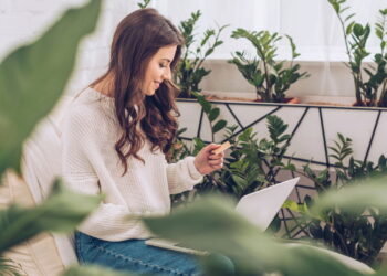 Essa planta aromática pode transformar o clima da sua casa