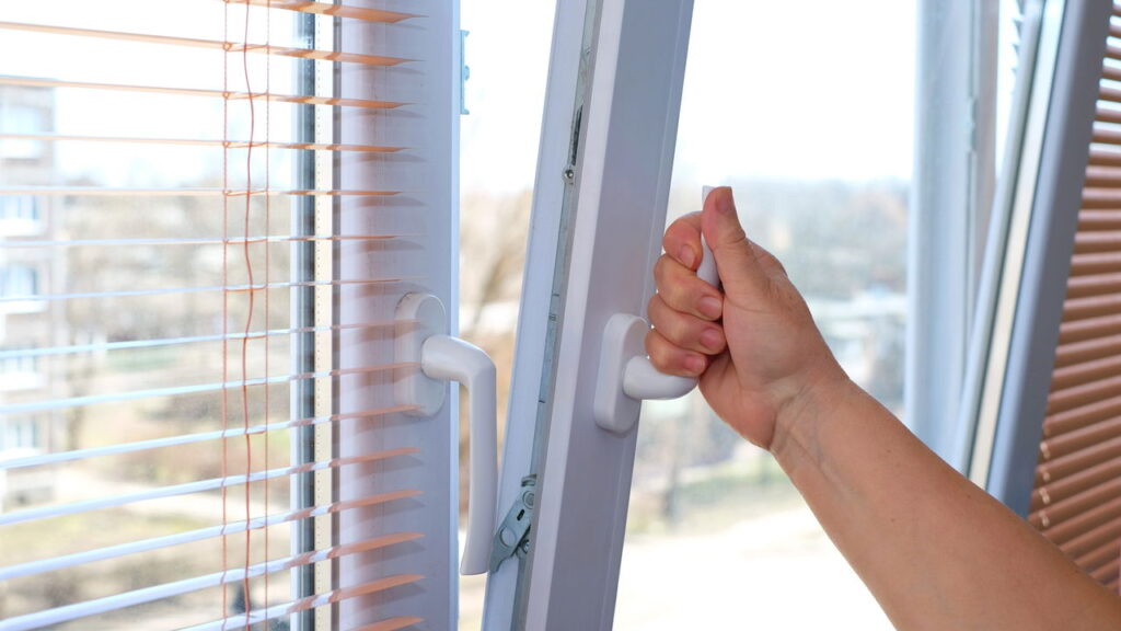 Com esses métodos você pode afastar os cupins dos seus móveis com segurança