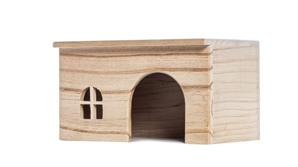 Como garantir segurança e conforto para seu pet no jardim?