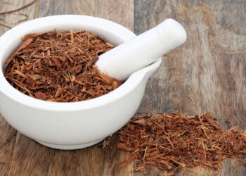 Catuaba tem propriedades que vão além do que você imagina