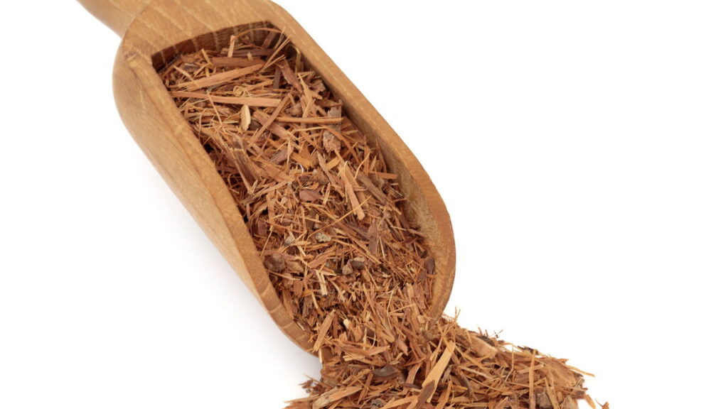 Catuaba tem propriedades que vão além do que você imagina