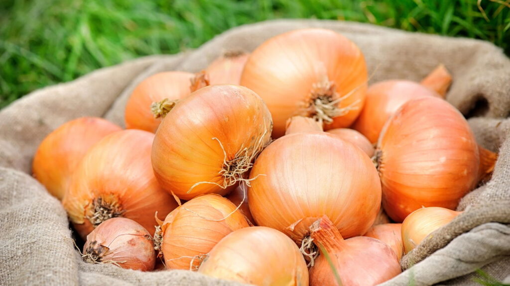 Poucos sabem para que realmente serve passar meia cebola na grelha quente