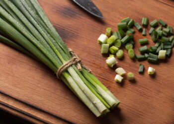 Como prolongar a cebolinha sem secar as pontas facilmente