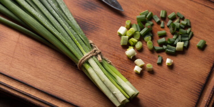 Como prolongar a cebolinha sem secar as pontas facilmente