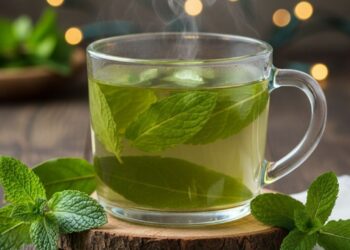 Benefícios do chá de boldo e hortelã que você precisa conhecer