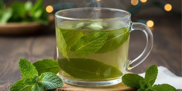 Benefícios do chá de boldo e hortelã que você precisa conhecer