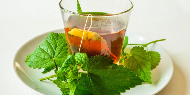 Receitas de chás calmantes com flores para noites de descanso profundo