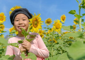 Essas 4 plantas revelam a essência dos signos com charme
