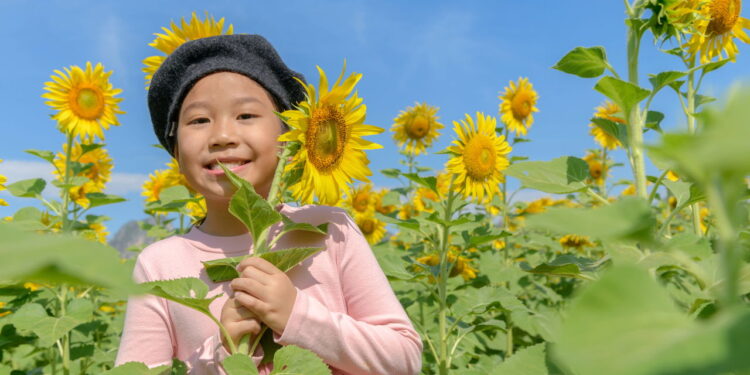 Essas 4 plantas revelam a essência dos signos com charme