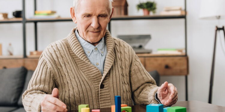 Receitas com brotos para suporte à saúde cognitiva