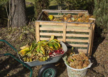 Jornal na compostagem caseira enriquece o solo e reduz lixo