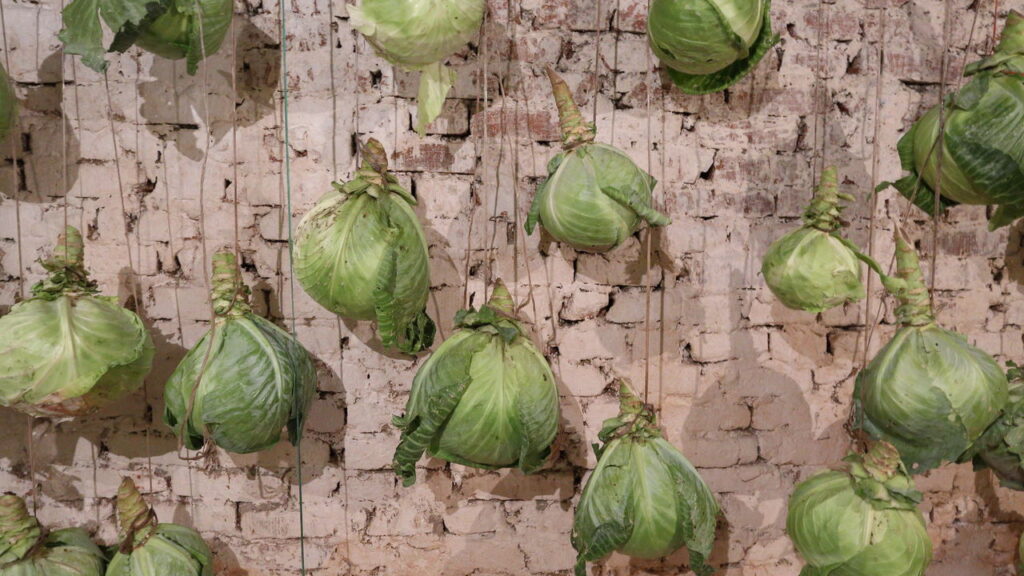 O jeito certo de conservar couve para saladas frescas a qualquer hora