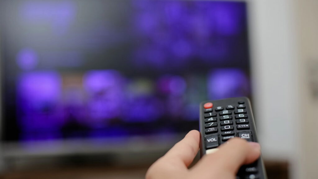 O motivo curioso que atrai formigas para controles remotos e como resolver