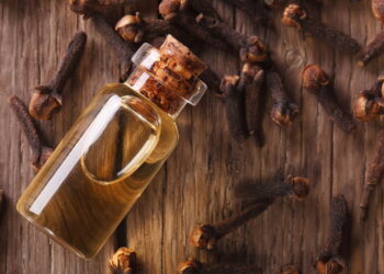 Plantas que espantam mosquitos e insetos naturalmente