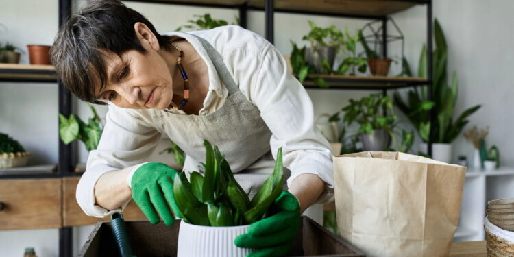 Signos que ficam mais relaxados quando cultivam plantas