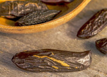 O poder escondido da fava-tonka que você precisa conhecer