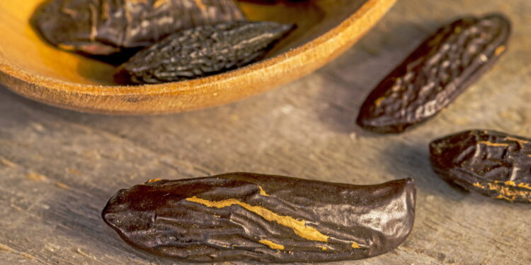 O poder escondido da fava-tonka que você precisa conhecer