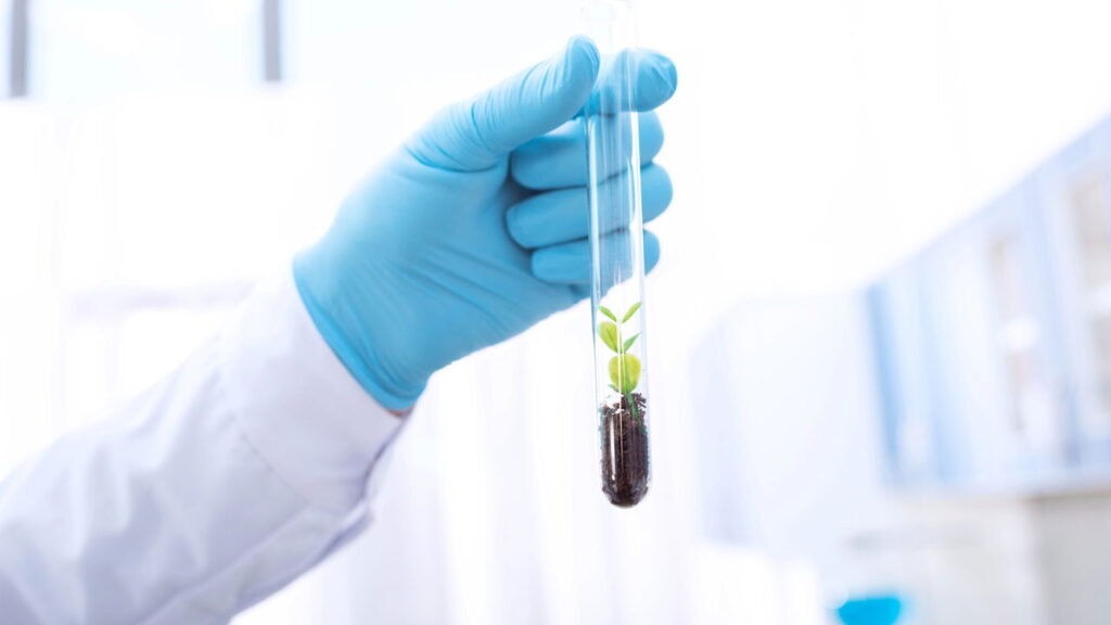 Como saber se o solo está pronto para plantar sem erro e melhor produção