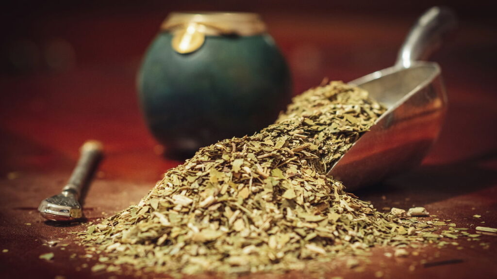 Se você consome erva-mate todos os dias, isso vai te surpreender