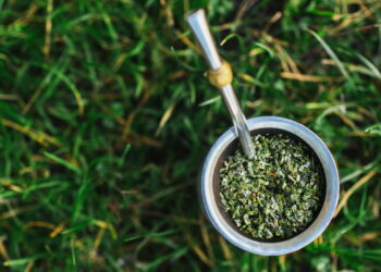 Se você consome erva-mate todos os dias, isso vai te surpreender