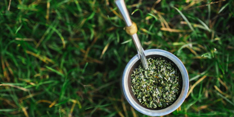 Se você consome erva-mate todos os dias, isso vai te surpreender