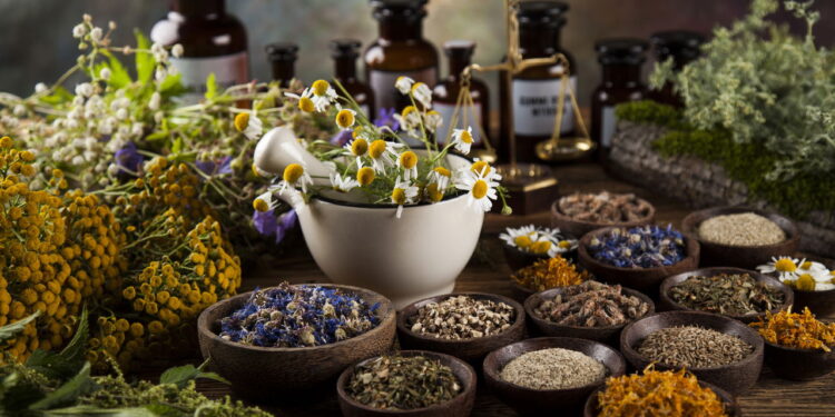 3 ervas que impulsionam a oxigenação celular e vitalidade para o corpo