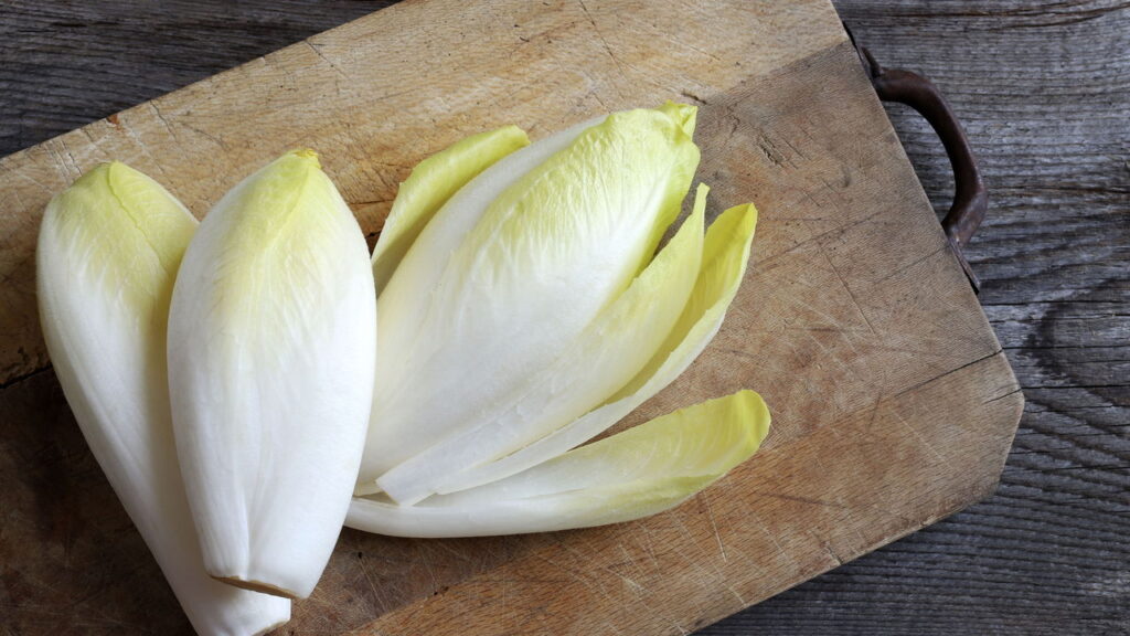 Dicas caseiras para manter a escarola fresca por mais tempo