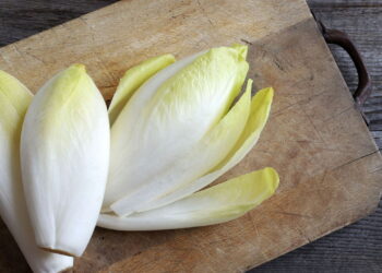 Dicas caseiras para manter a escarola fresca por mais tempo