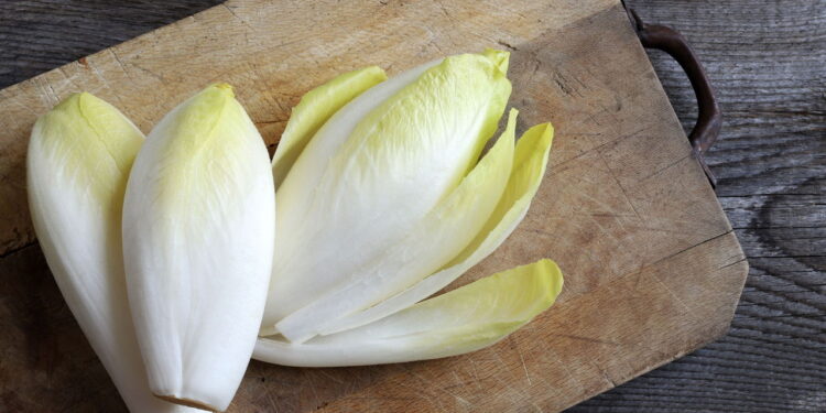 Dicas caseiras para manter a escarola fresca por mais tempo