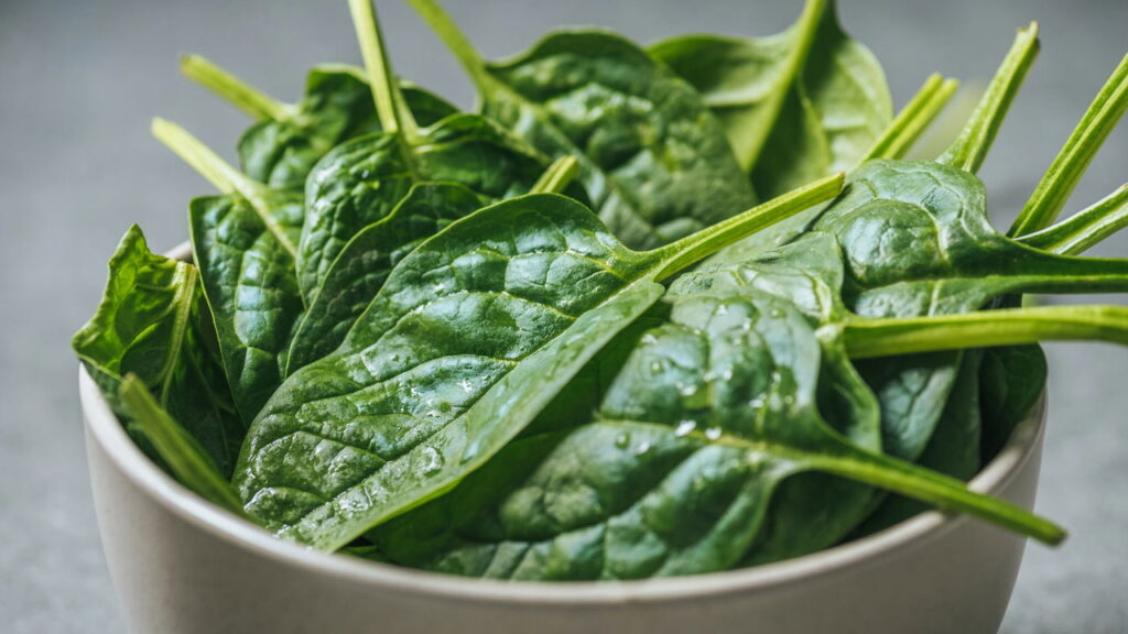 O segredo para conservar espinafre verde e nutritivo sem estragar