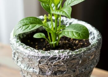 Barreira protetora contra pragas rasteiras mantendo as plantas seguras