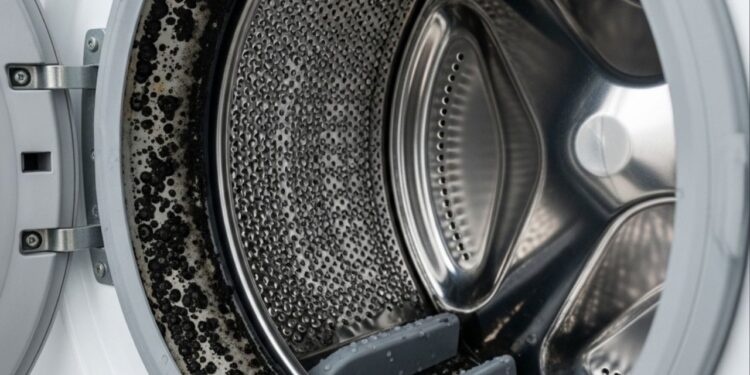 Cuidado econômico prolongando a vida útil da máquina