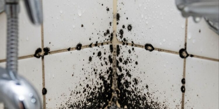 Manchas escuras que prejudicam a estética e a higiene do banheiro