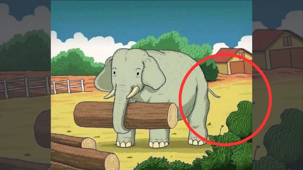 Encontre o cavalo escondido nesta imagem em 7 segundos