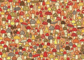 Apenas 25% da população consegue encontrar o rato nessa imagem