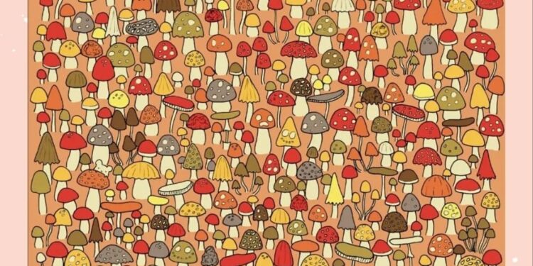 Apenas 25% da população consegue encontrar o rato nessa imagem