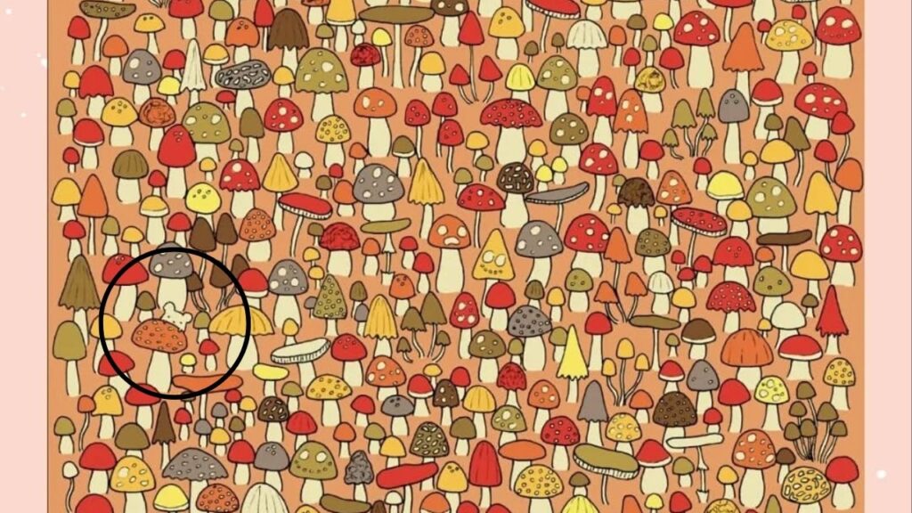 Apenas 25% da população consegue encontrar o rato nessa imagem